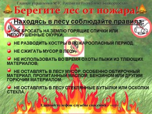 Берегите лес от пожара