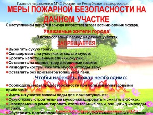 ПБ на дачном участке