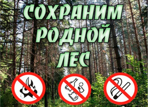2f3dc6f3d3feae5dd9576c0a25d8c21c